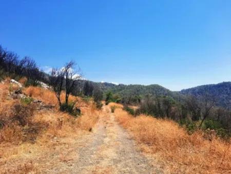 Muğla Dalaman 42.432M2 Detached Land With Title Deed For Sale