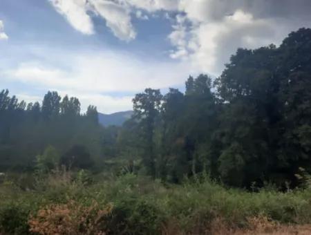 1 375 M2 Land For Sale In Muğla Köyceğiz Plateau