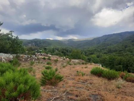 Muğla Köyceğiz Ağla, 1 758 M2 Zoned Land For Sale In Plateau