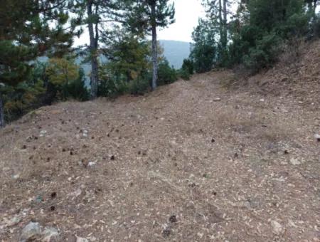 1 900 M2 Detached Bargain Land For Sale In Burdur Gölhisar Yeşildere