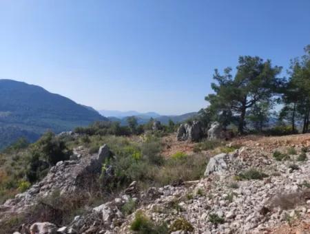 1 300 M2 63 M2 Zoned Land For Sale In Gocek Gökçeovacik