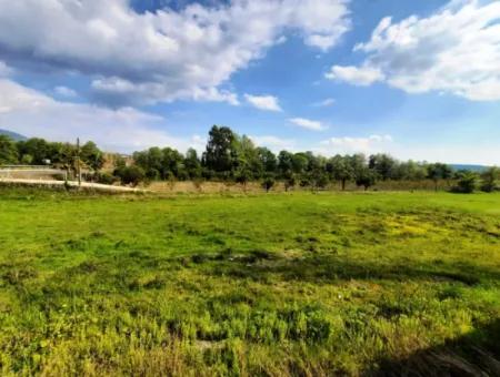 Köyceğiz Yangida Main Road Zero Investment Suitable Bargain Land For Sale