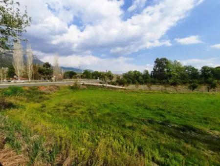 Köyceğiz Yangida Main Road Zero Investment Suitable Bargain Land For Sale