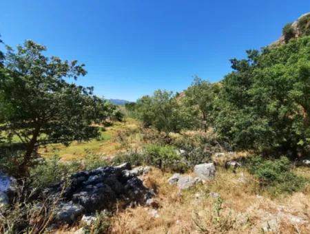 Muğla Ortaca Dalyanda Canal Front 6 500 M2 Land With Title Deed For Sale