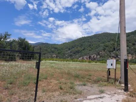 Köyceğiz Çandırda Detached Title Deed 33.800 M2 Field For Sale