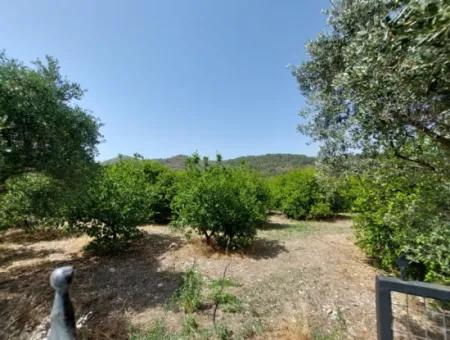 Muğla Ortaca Ekşiliyurtta Residential Zoned Detached 2 000M2 Land For Sale