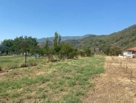 Köyceğiz Çandır Dalyan Canal Front 3210 M2 Land For Sale