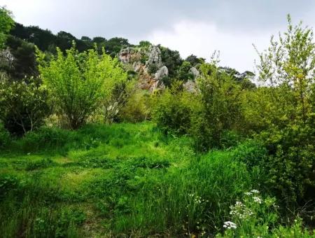 Güzelyurt For Sale Landscaped Gardens Pomegranate Ta