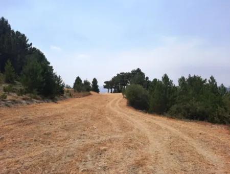 3 Parcels Of Land For Sale In Çameli Gökçeyaka