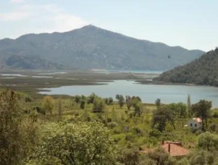 Köyceğiz, Çandırda Close To The Lake, 1160 M2 And Village House For Sale