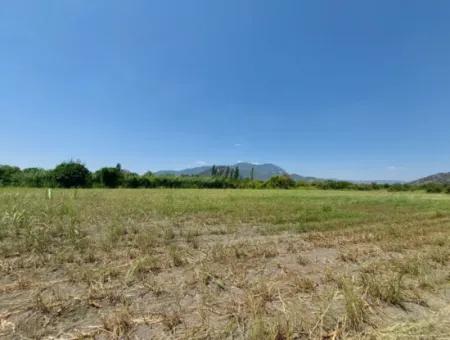 20.600 M2 Of Land In Ortaca Dalyan, 250 M2 Of Detached Land With The Right To Build A House Is For Sale