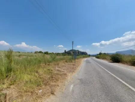 Muğla Ortaca Dalyanda 7.353 M2 Detached Land Close To The Canal For Sale