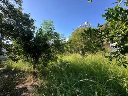 1129 M2 Zoned Land For Sale In Ortaca Dalaklı