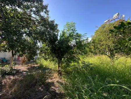 1129 M2 Zoned Land For Sale In Ortaca Dalaklı