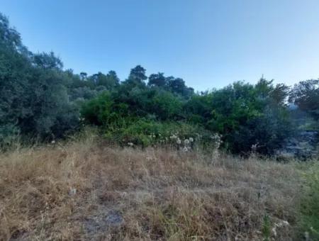 700 M2 Land With Lake View Construction Right In Köyceğiz, Yeşilköy For Emergency Sale