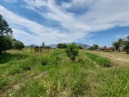 Mountainfront Fertile 1.680 M2 Land For Sale In Dalyan, Muğla