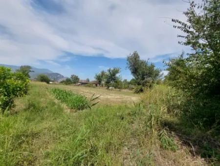 Mountainfront Fertile 1.680 M2 Land For Sale In Dalyan, Muğla