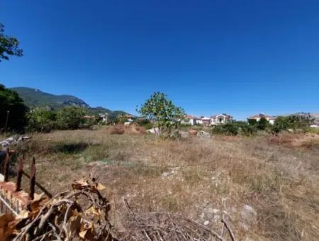 Muğla Dalyan 970 M2 Commercial Zoned Bargain Land For Sale