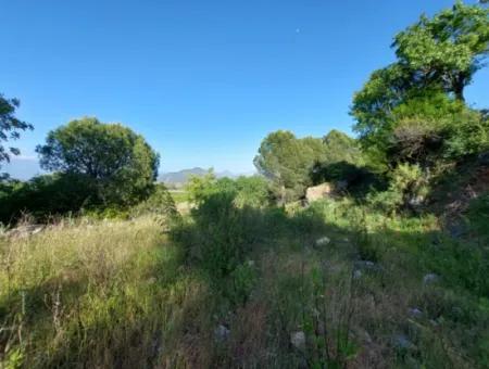 1.000M2 Detached Land With Köyceğiz Lake View For Sale In Dalyan