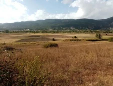 2603 M2 Field For Sale In Denizli Çameli Belevi Neighborhood