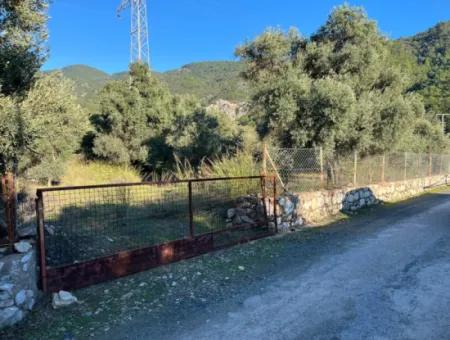 For Sale 3.300 M2 Land Suitable For Deposit In Muğla, Köyceğiz, Ekincik