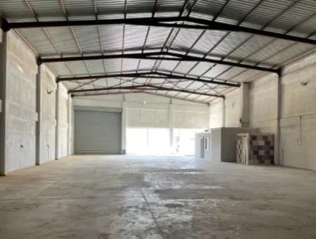 Rental Shop Industry Location 750M2