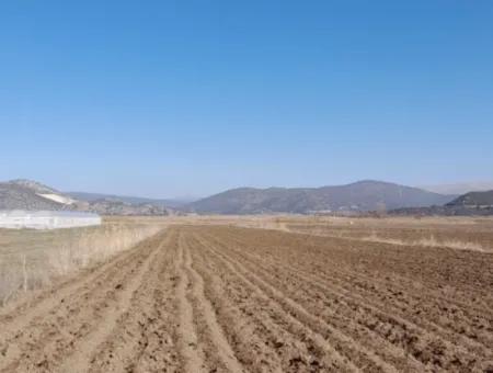 6 600 M2 Detached Land With Lake View For Sale In Burdur Gölhisar Kargalı Village