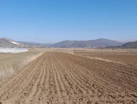 6 600 M2 Detached Land With Lake View For Sale In Burdur Gölhisar Kargalı Village