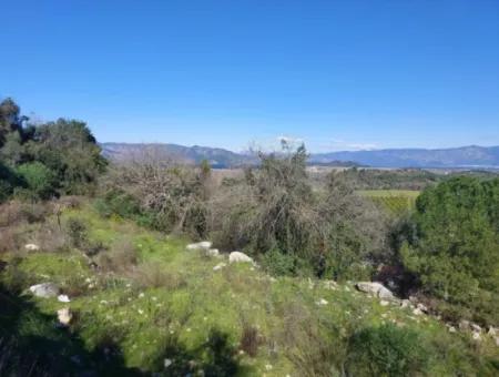 1.000M2 Detached Land With Köyceğiz Lake View For Sale In Dalyan