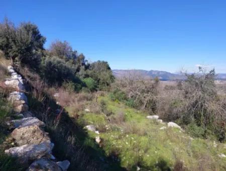 1.000M2 Detached Land With Köyceğiz Lake View For Sale In Dalyan