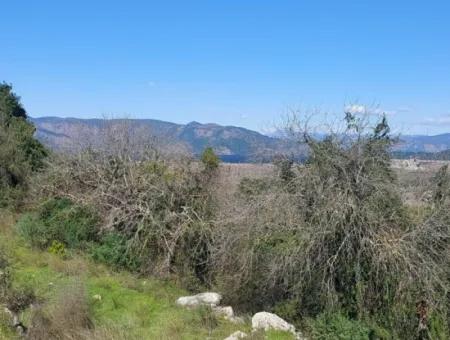 1.000M2 Detached Land With Köyceğiz Lake View For Sale In Dalyan