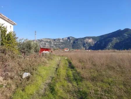 4.800 M2 Land For Sale In Muğla Ortaca Dalyan