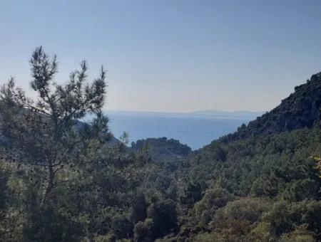 28.350 M2 Land For Sale In Ortaca Gökbelde With Detached Title Deed Sea View