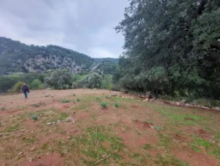 24.000 M2 Detached Land For Sale In Muğla Dalyan Gökbelde Nature