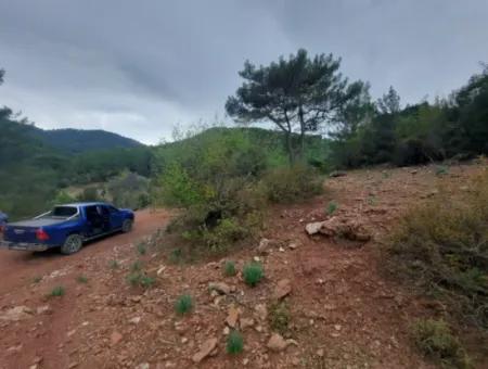 24.000 M2 Detached Land For Sale In Muğla Dalyan Gökbelde Nature