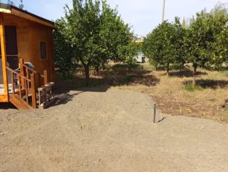 Muğla Ortaca Archers 1 1 Wooden Bungalow For Rent