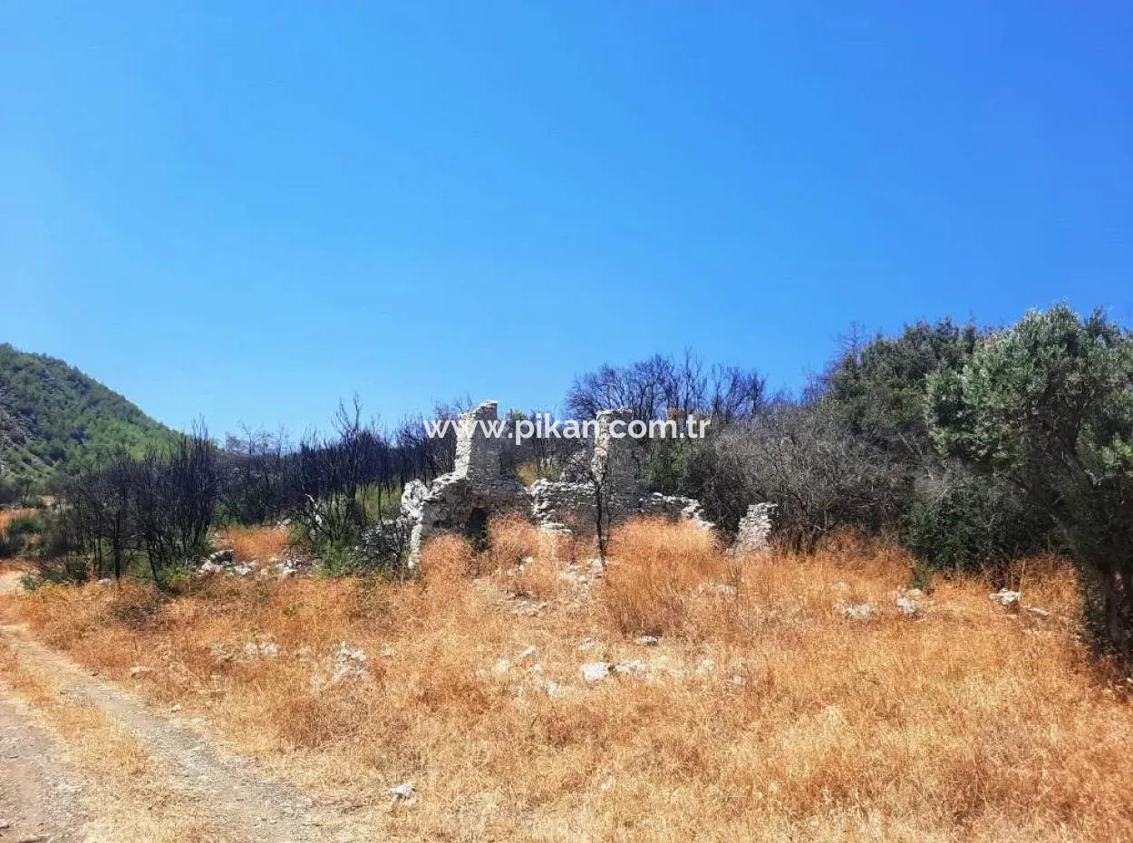 Muğla Dalamanda 42.432M2 Müstakil Tapulu Arazi Satılık