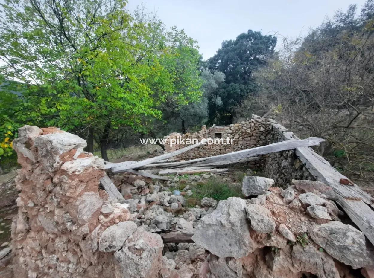 Muğla Dalyan Gökbelde Doğa İçinde 24.000 M2 Müstakil Arazi Satılık