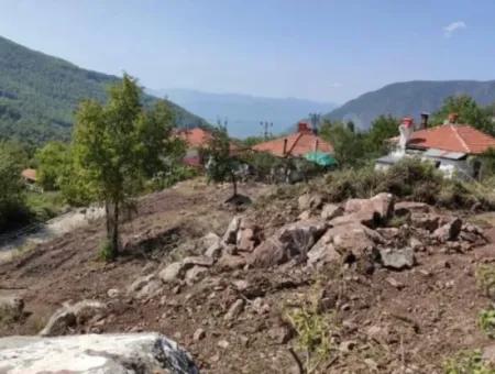 Muğla Köyceğiz Yayla Mah 560 M2 Arsa Satılık