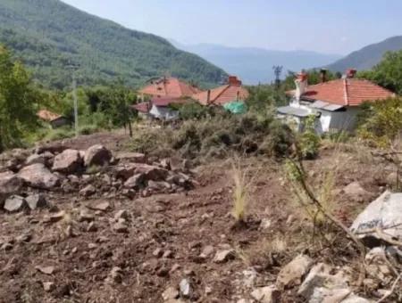 Muğla Köyceğiz Yayla Mah 560 M2 Arsa Satılık