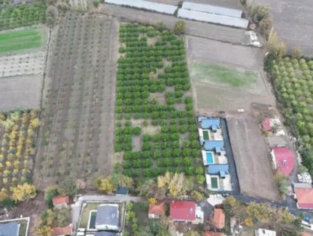 Ortaca Okçularda Yatırıma Uygun İmar Planı İçinde 9750  M2 Arazi Satılık