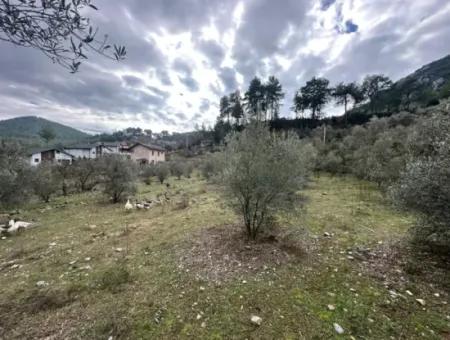 Fethiye Gökçeovacıkta Satılık 1709 M2